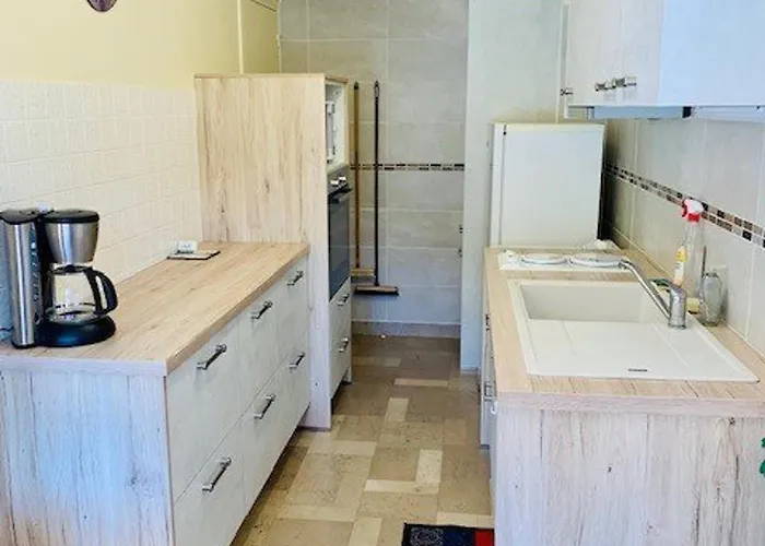 Appartement F2 Avec Terrasse, Parking, Ascenseur Et Wifi - Animaux Acceptes - Amelie-les-bains - Fr-1-703-86 *